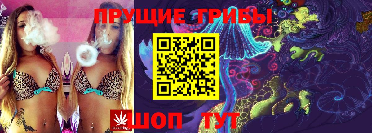 Топки  Галлюциногенные грибы мицелий  Галлюциногенные грибы Psilocybe  где купить наркоту  Вход с VPN 