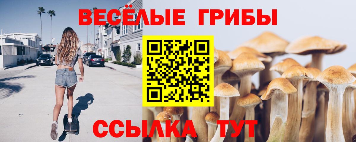 Псилоцибиновые грибы Magic Shrooms Топки